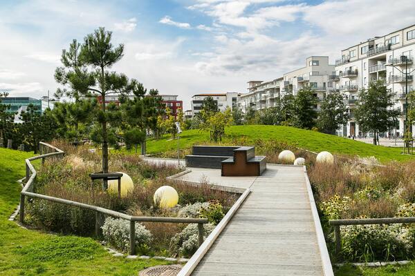 Passilfore - Espaces verts immeuble